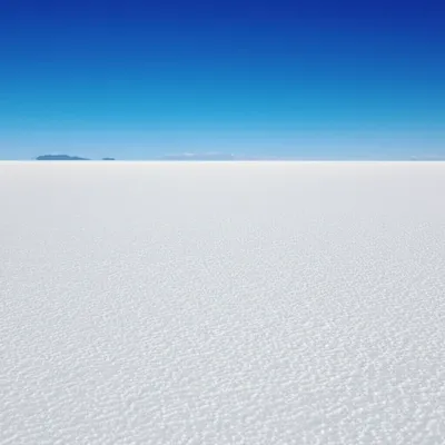 Illustration flats - Image 1