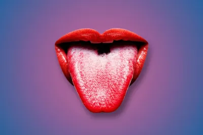 Illustration lingual - Image 1