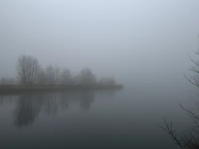 Illustration murky - Image 1