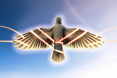 Illustration pinion - Image 1