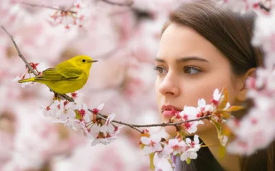 Illustration note - Image 1