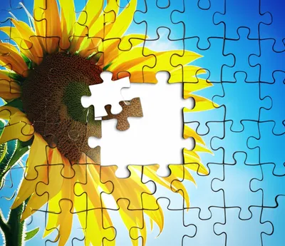 Illustration replacing - Image 1