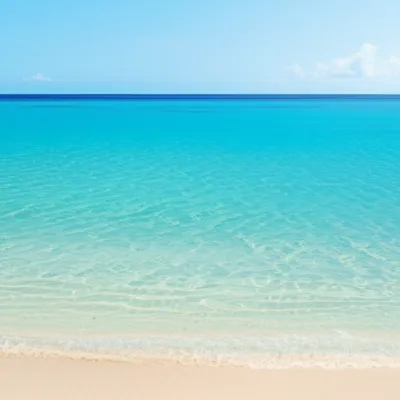 Illustration cyan - Image 1