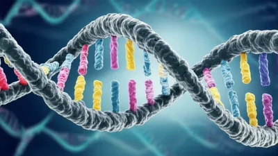 Illustration edited - Image 1