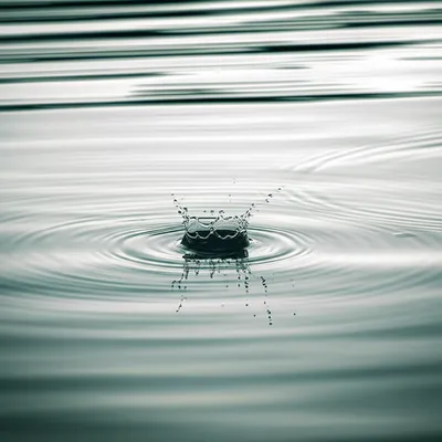 Illustration disturbance