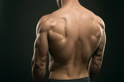 Illustration etched - Image 1