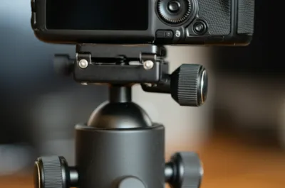 Illustration bush - Image 1