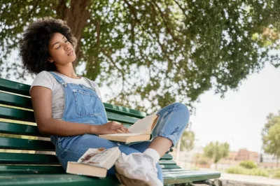 Illustration napoleon - Image 1