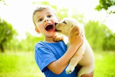 Illustration pleases - Image 1