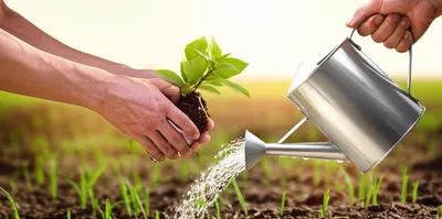 Illustration trusted - Image 1