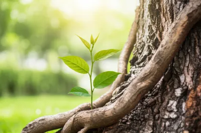 Illustration trains - Image 1