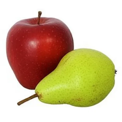 Hình ảnh minh họa sub - Ảnh 1