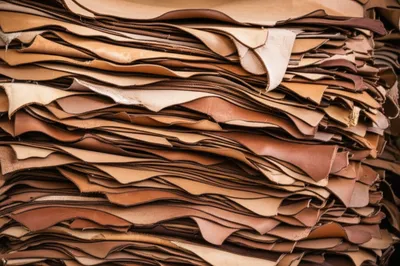 Illustration cowhide - Image 1