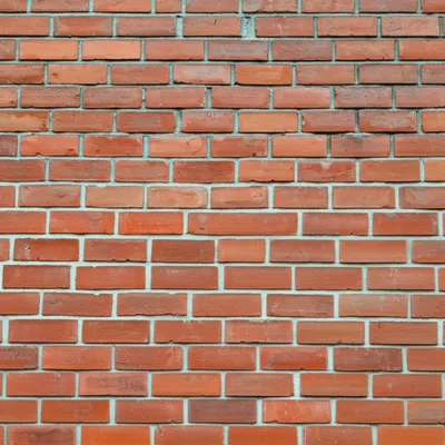 Illustration back - Image 1