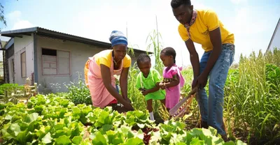 Illustration subsistence