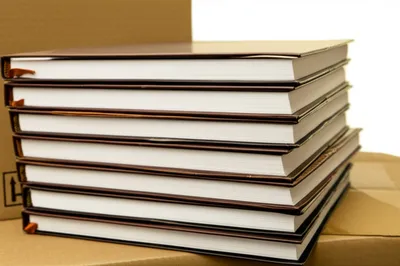 Illustration publish