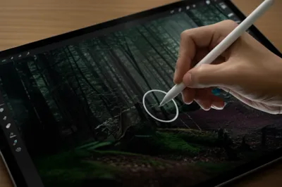 Illustration dodges - Image 1