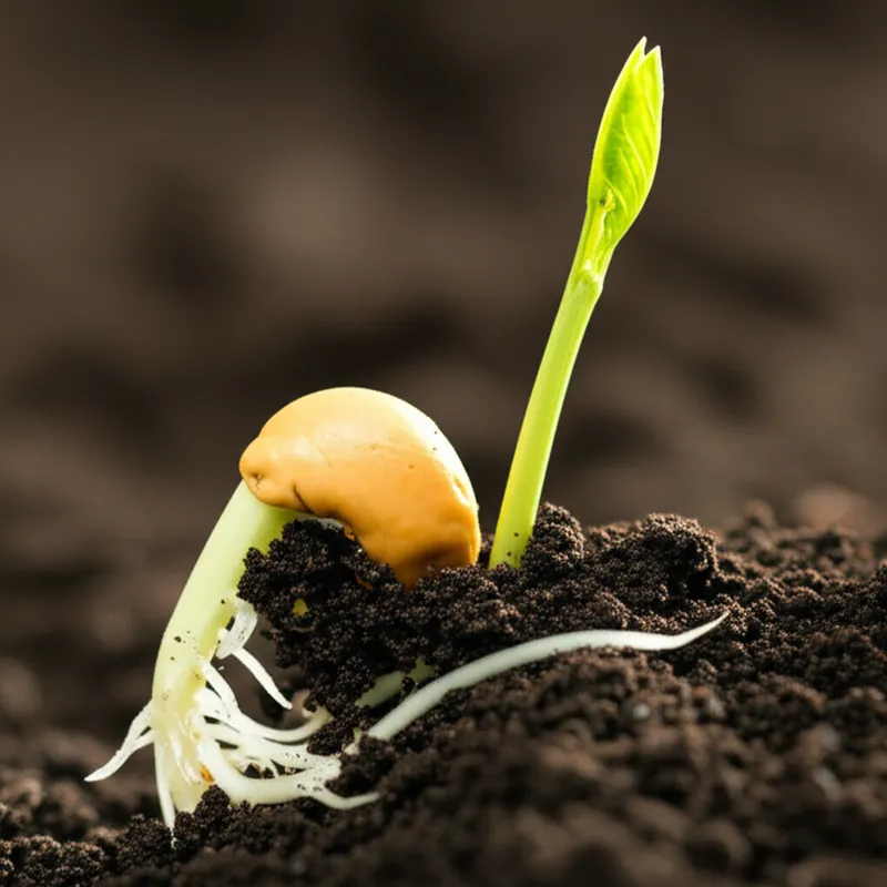 Illustration visuelle du mot « originating » - Provoquer, engendrer, initier