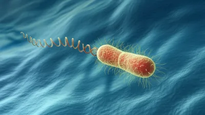 Illustration flagella - Image 1