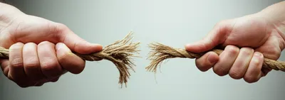 Hình ảnh minh họa disagreements - Ảnh 1