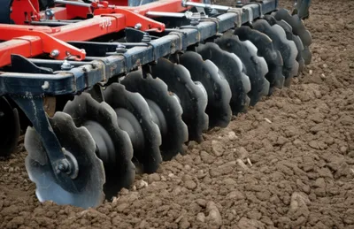 Illustration disk - Image 1