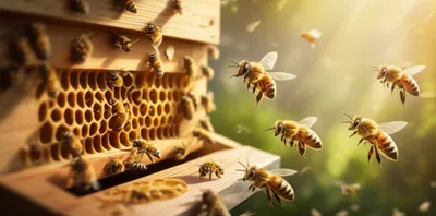 Illustration hummed - Image 1