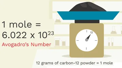 Illustration mole - Image 2