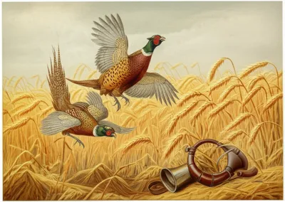 Illustration braces - Image 1