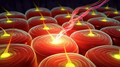 Illustration acceptors - Image 1