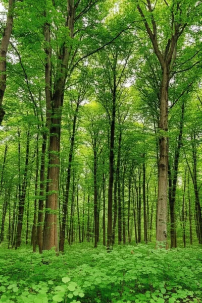 Illustration fillers - Image 1