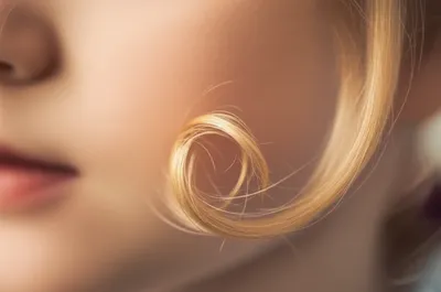 Illustration ringlet - Image 1