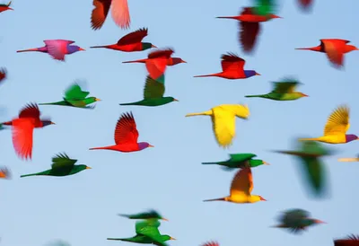 Illustration flit - Image 1