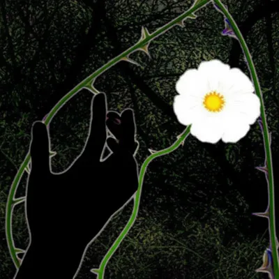 Illustration implicate - Image 1