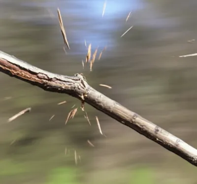 Illustration snapped - Image 1