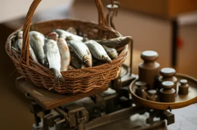 Illustration kits - Image 1