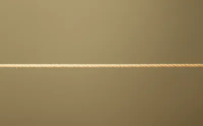 Illustration straight - Image 1