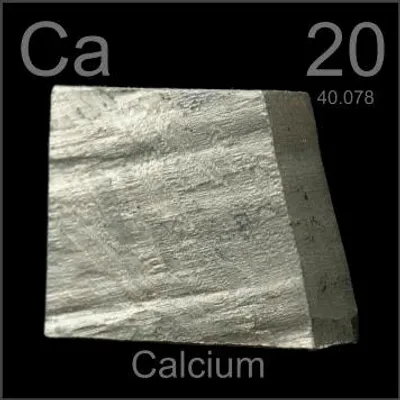 Illustration calcium - Image 2