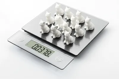 Illustration tales - Image 1