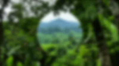 Illustration blurring - Image 1