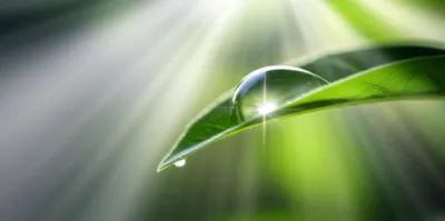 Illustration focusing - Image 1