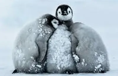 Illustration huddle - Image 3