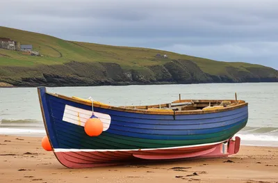 Illustration cob - Image 1