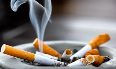 Illustration snouts - Image 1