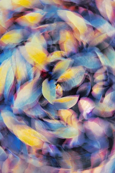 Illustration whirr - Image 2