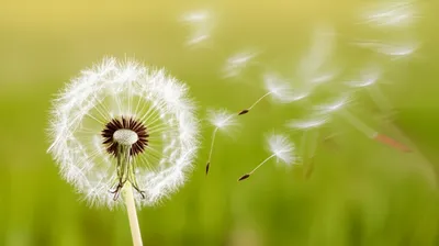 Illustration swept - Image 1