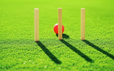 Illustration wicket - Image 1