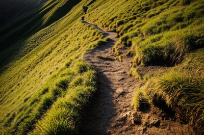 Illustration rakes - Image 1