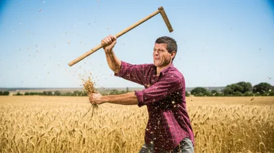 Illustration flailing - Image 1