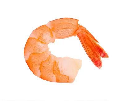 Illustration cutlet - Image 1