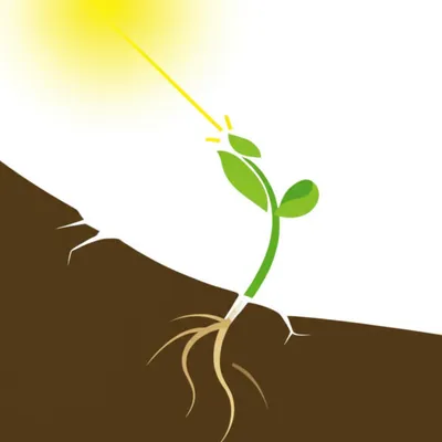 Illustration lifting - Image 1